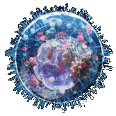 WM视讯·(中国大陆)官方网站